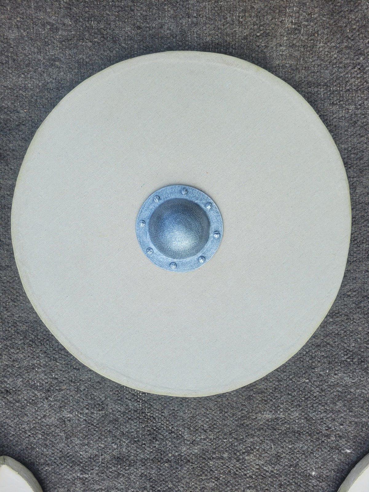 Schildrohling "Rundschild" groß