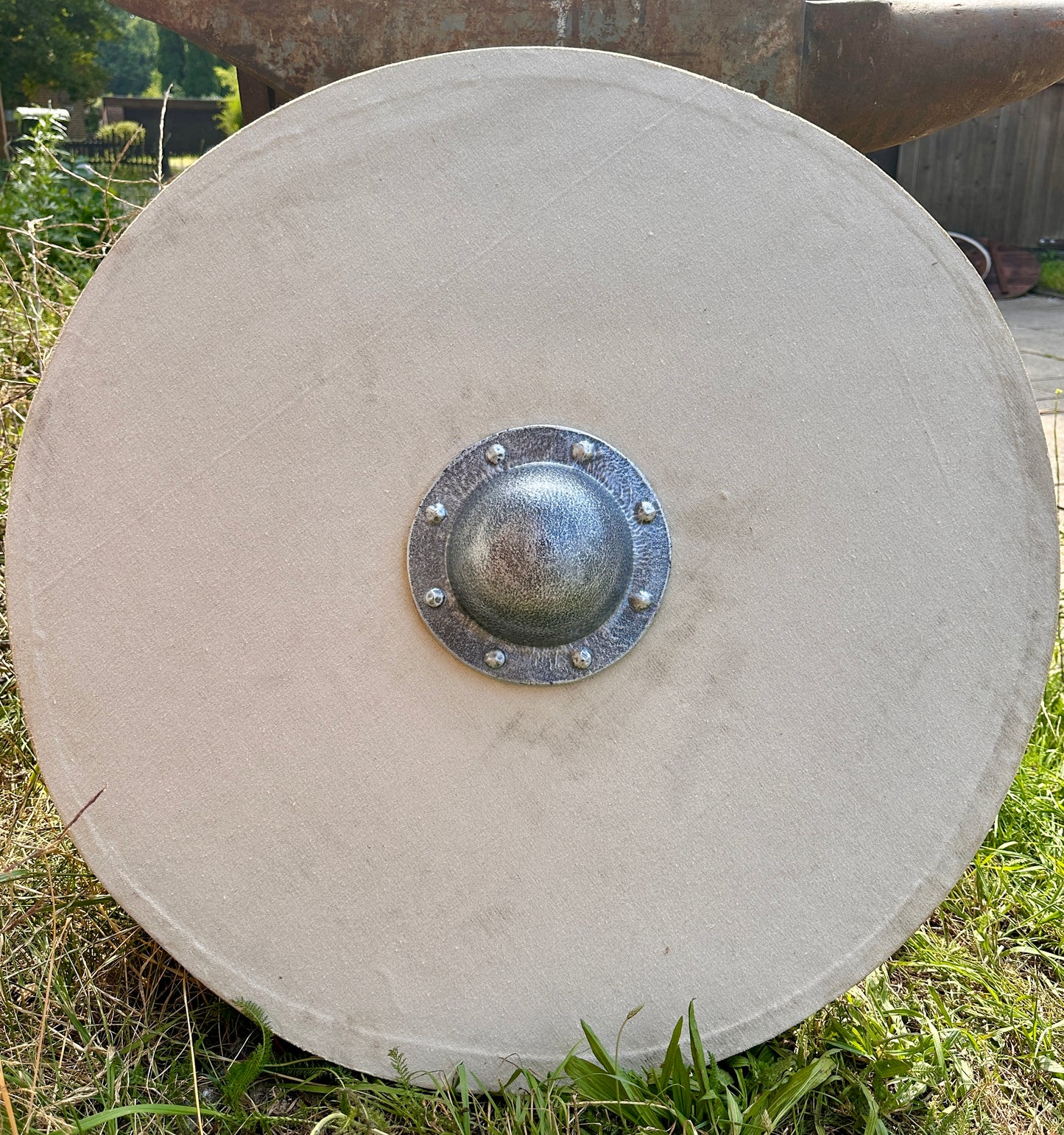 Schildrohling "Rundschild" groß
