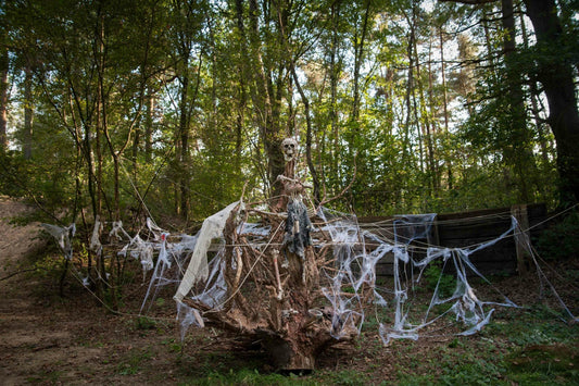 FH Eventpartner - Drachenhöhle