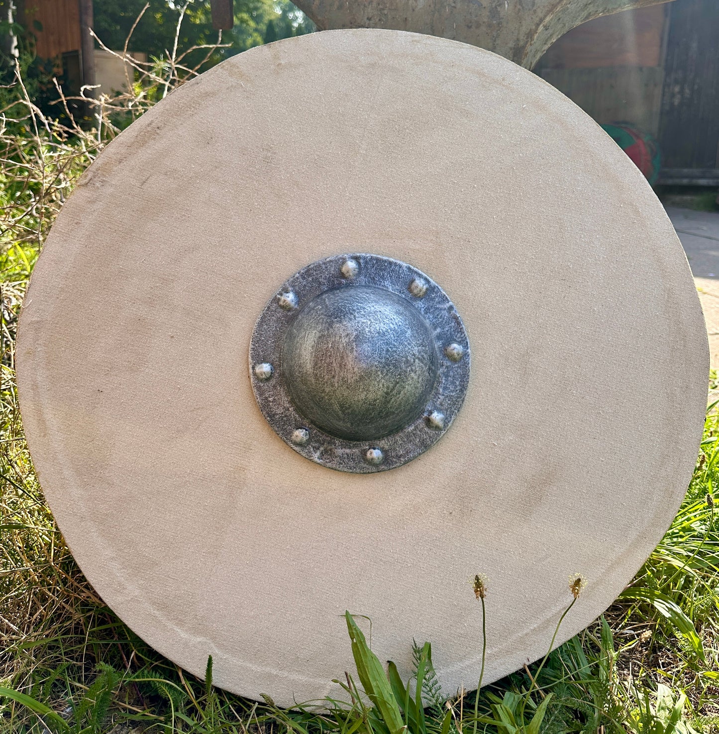 Schildrohling "Rundschild" mittel