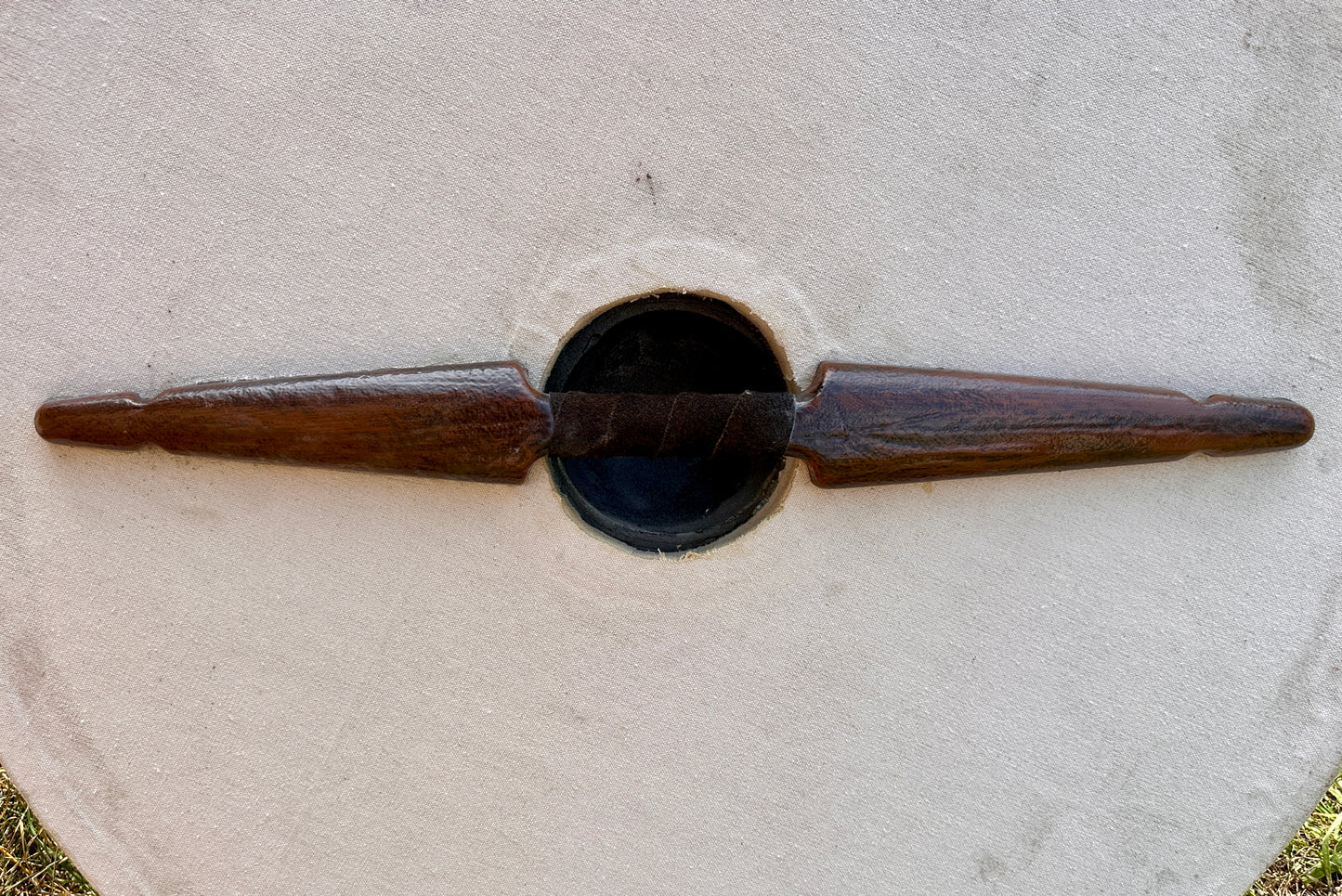 Schildrohling "Rundschild" groß