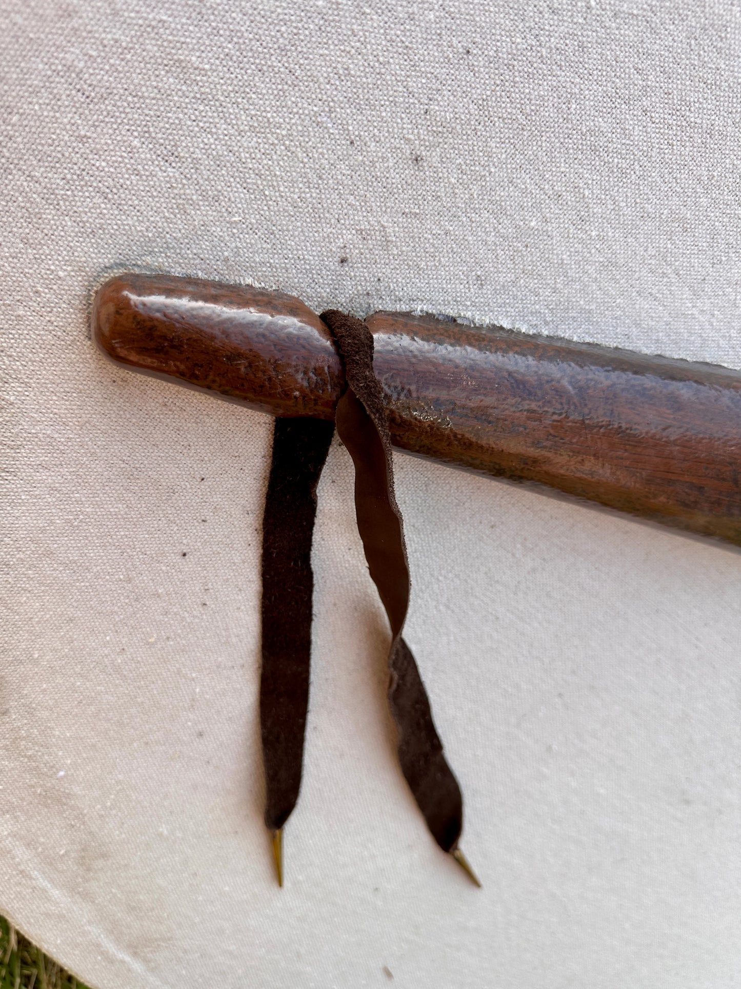 Schildrohling "Rundschild" groß